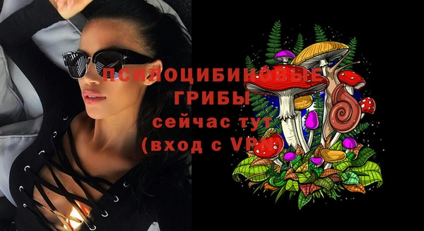 а пвп мука Вяземский