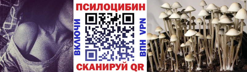 купить наркоту  ссылка на мегу   Псилоцибиновые грибы Magic Shrooms  Назарово 